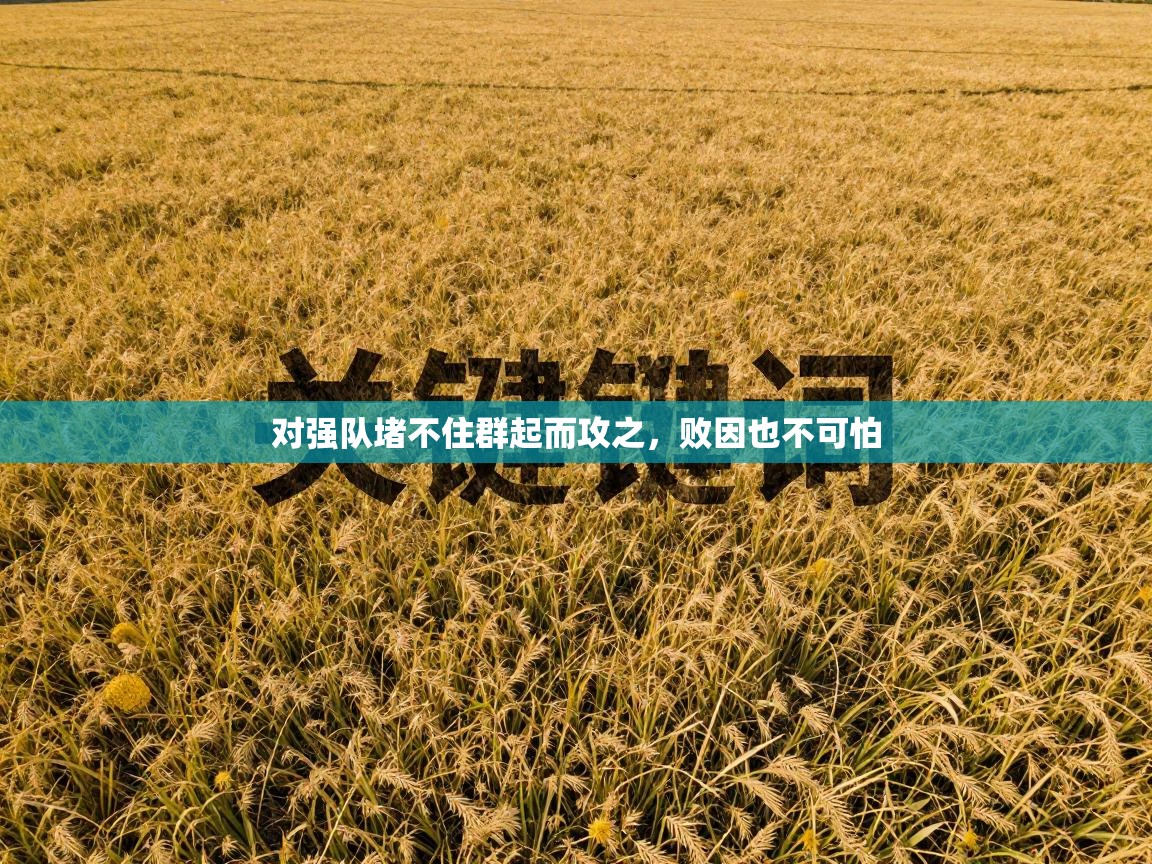 对强队堵不住群起而攻之，败因也不可怕  第1张